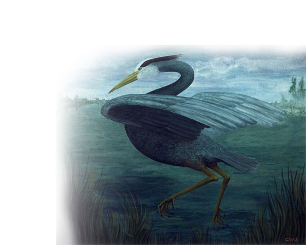 Heron