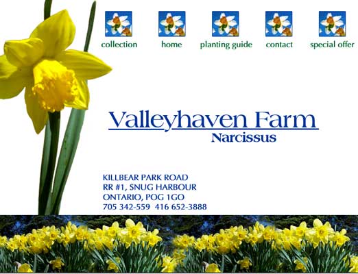 Valleyhaven home