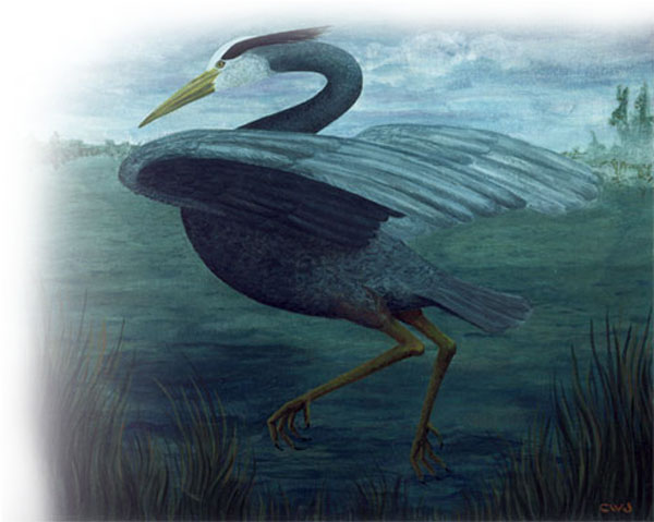 Heron by Cynda Warren Joyce